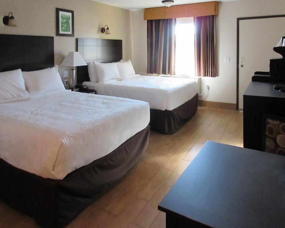 Quality Inn & Suites Bakersfield Exteriör bild