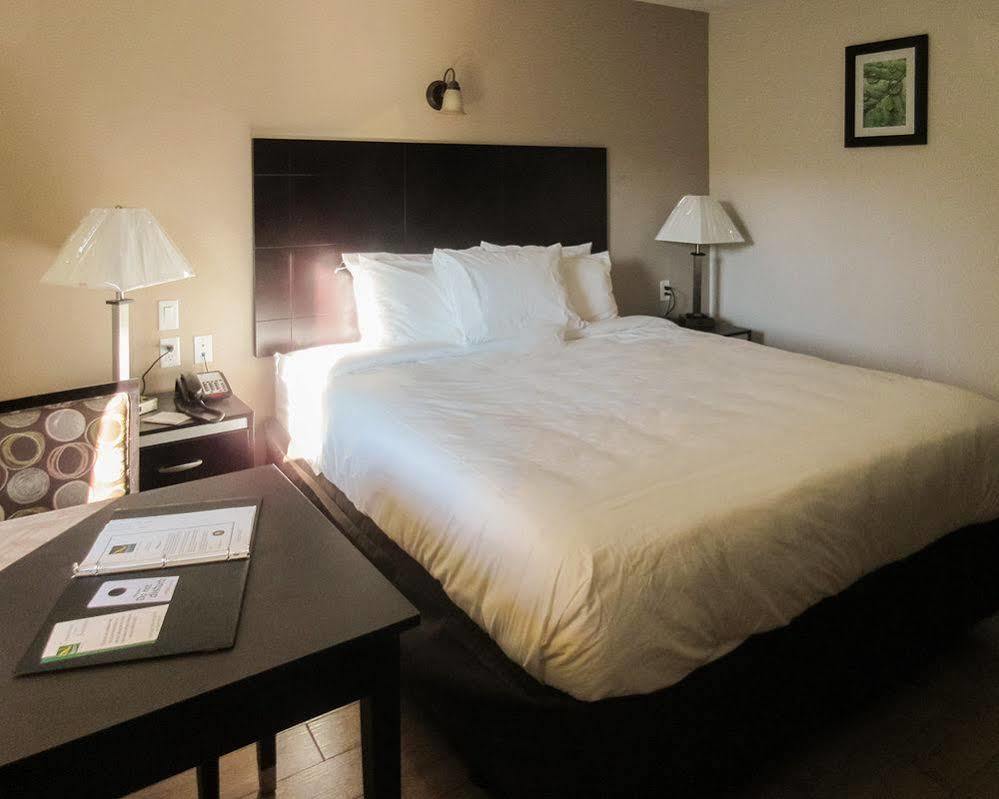 Quality Inn & Suites Bakersfield Exteriör bild